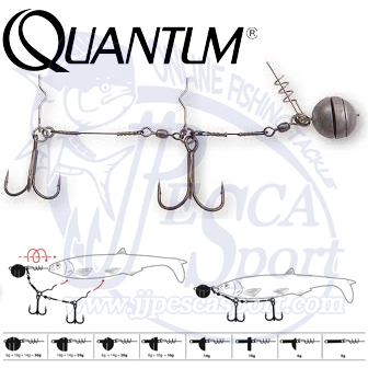 QUANTUM YOLO SHAD SYSTEM