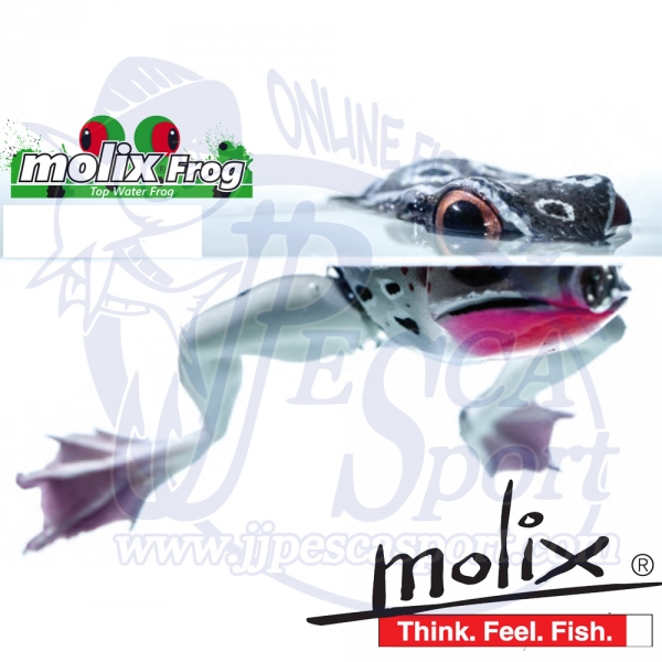 MOLIX FROG