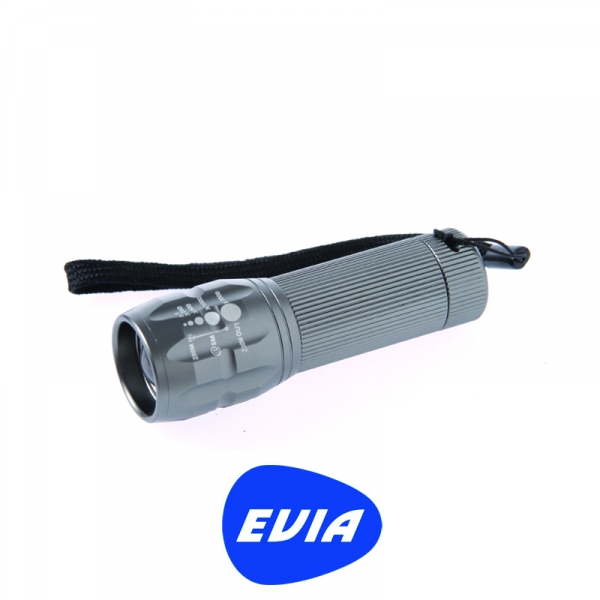 EVIA BEAM1